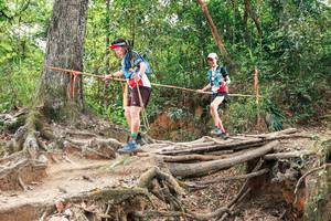 BIB: 
                            <button type="button" onclick="openModal(27725750)" class="btn btn-primary btn-sm float-right btn-popup" data-toggle="modal" data-target=".modal-high-quality">
                        <i class="fas fa-shopping-cart"></i> Add to Cart
                    </button>
                                            <button type="button" onclick="isThisMe(27725750, true)" class="btn btn-success btn-sm float-right btn-popup btn-isme hidden" data-toggle="tooltip" data-placement="bottom" title="นี่คือรูปของคุณใช่ไหม คลิกที่นี่เพื่อเอาเข้าอัลบั้ม">
                        <i class="fas fa-plus"></i> Add to album
                    </button>
                    <button type="button" onclick="isThisMe(27725750, false)" class="btn btn-warning btn-sm float-right btn-popup btn-isnotme hidden">
                        <i class="fas fa-ban"></i> Remove from album
                    </button>